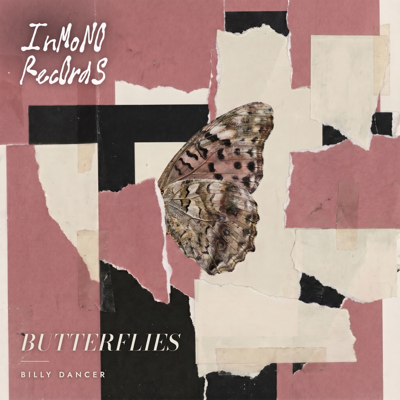 Butterflies — Billy Dancer